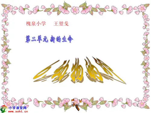 教科版四年级下册科学《动物的卵》
