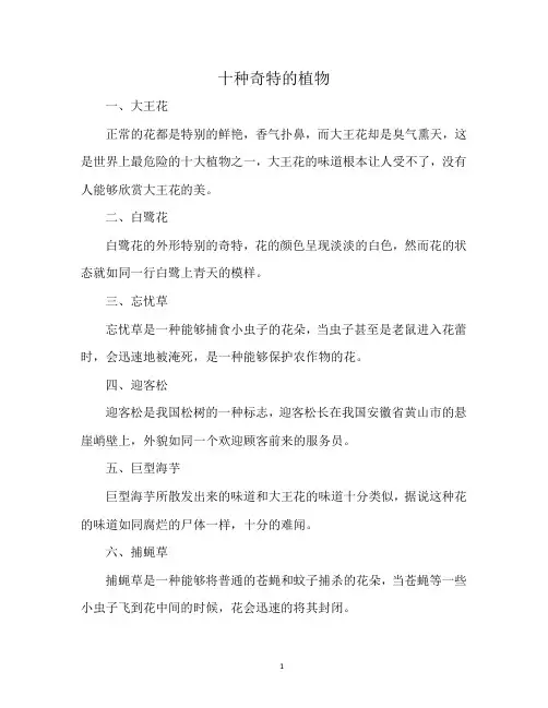 十种奇特的植物