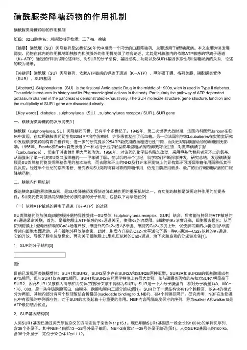 磺酰脲类降糖药物的作用机制