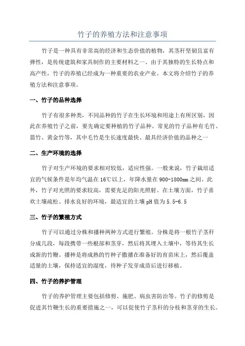 竹子的养殖方法和注意事项