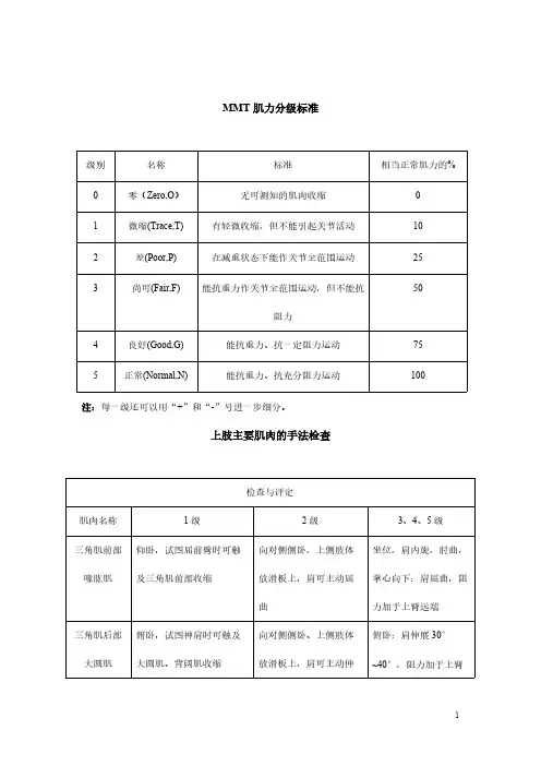 MMT肌力分级标准