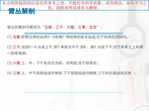 臂丛神经阻滞麻醉培训课件