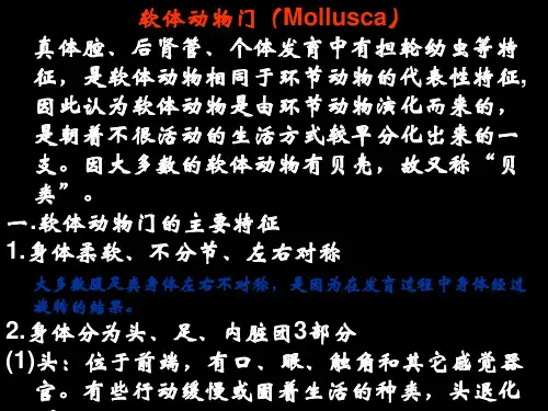 软体动物门(Mollusca)(精)