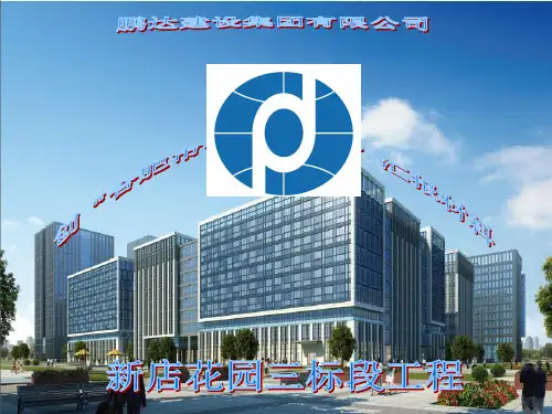 优质结构汇报材料1