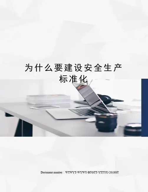 为什么要建设安全生产标准化