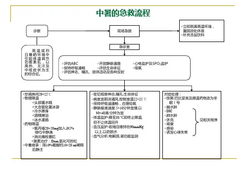 29种急症急救流程图