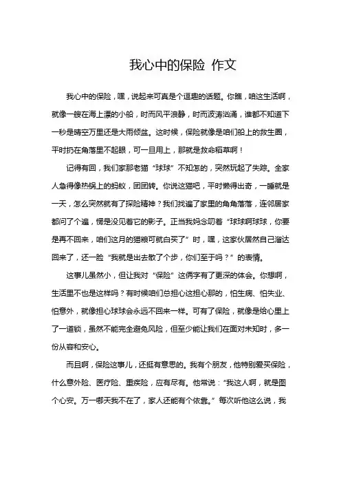 我心中的保险 作文