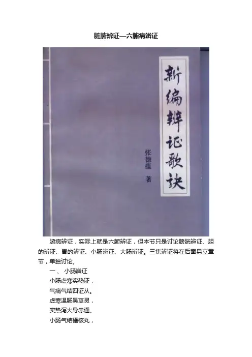 脏腑辨证—六腑病辨证
