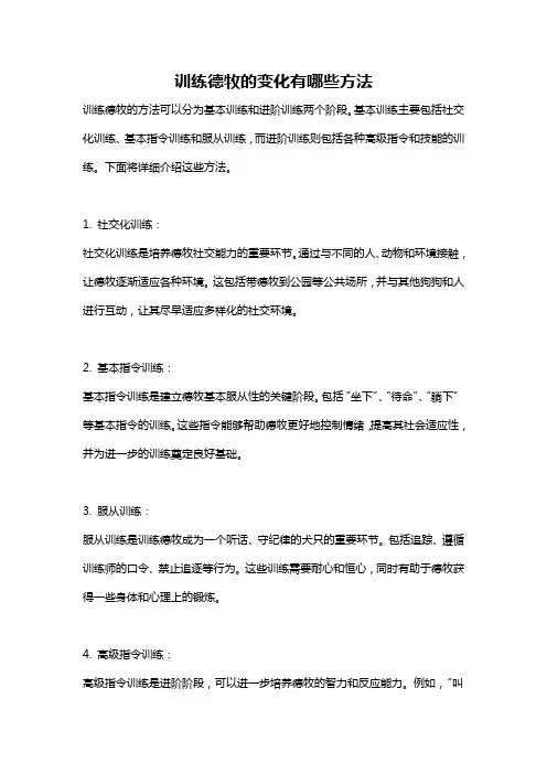 训练德牧的变化有哪些方法