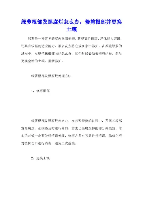 绿萝根部发黑腐烂怎么办,修剪根部并更换土壤