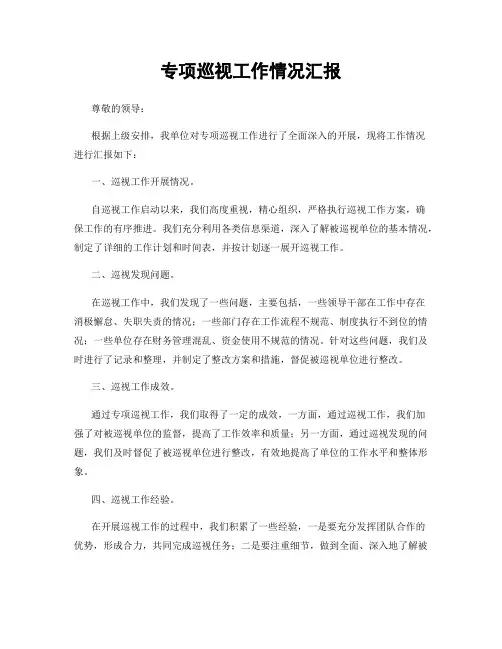 专项巡视工作情况汇报
