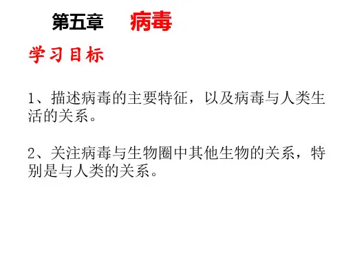 第五章病毒