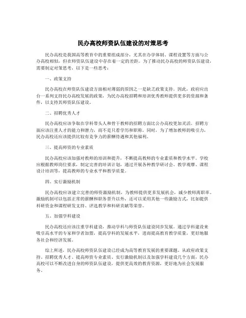 民办高校师资队伍建设的对策思考