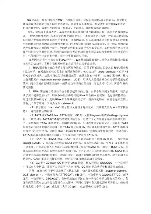 基因表达
