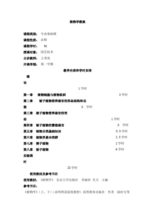 植物学教案