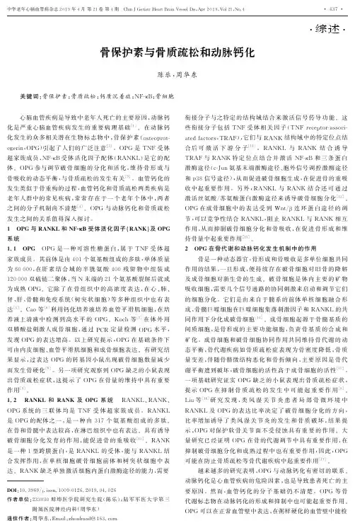 骨保护素与骨质疏松和动脉钙化