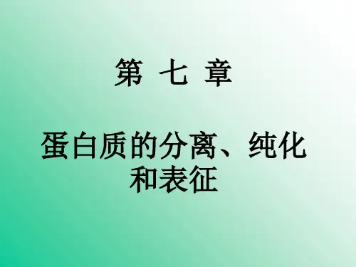 蛋白质的分离纯化.ppt