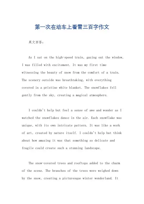 第一次在动车上看雪三百字作文