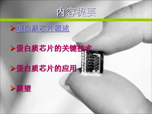 蛋白质芯片.ppt