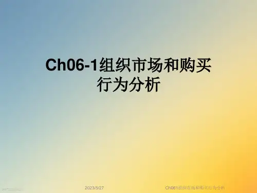 Ch061组织市场和购买行为分析