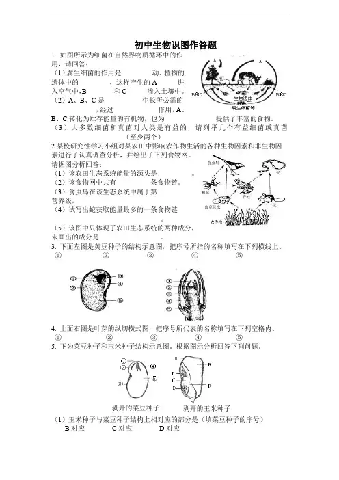 初中生物识图作答训练