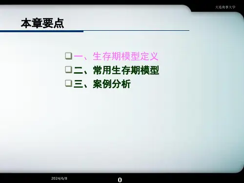 计算机软件及应用软件开发生命周期