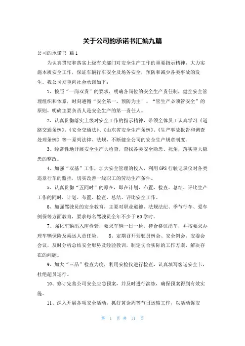 关于公司的承诺书汇编九篇