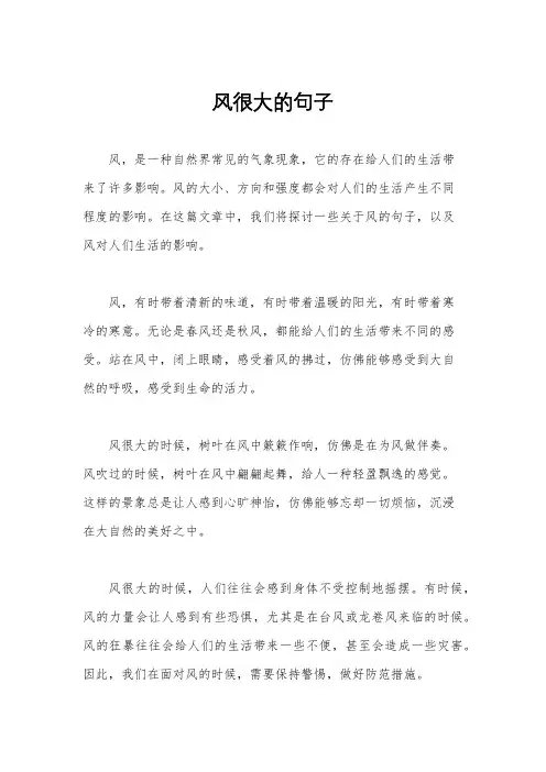 风很大的句子