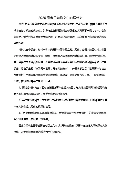 2020高考甲卷作文中心写什么