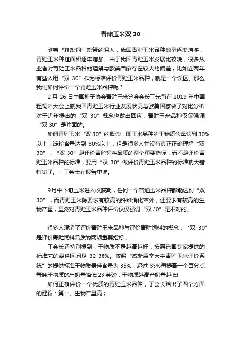 青储玉米双30