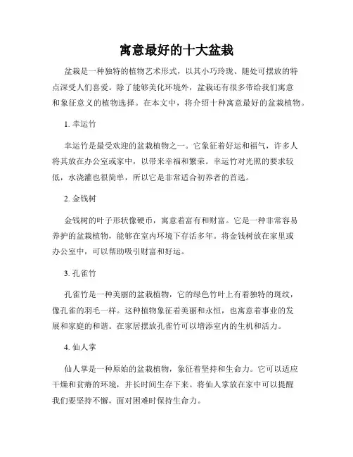 寓意最好的十大盆栽