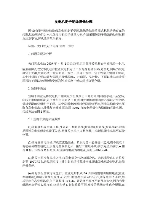发电机定子绝缘降低处理