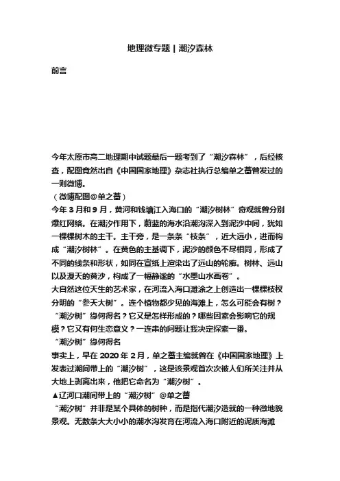 地理微专题丨潮汐森林