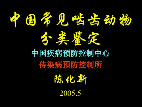 中国常见啮齿动物分类鉴定