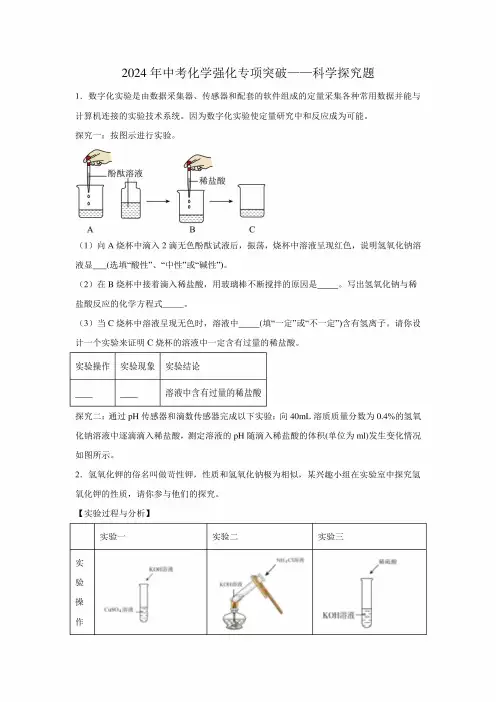 2024年中考化学强化专项突破——科学探究题