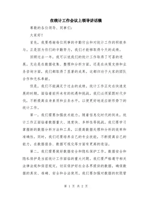 在统计工作会议上领导讲话稿