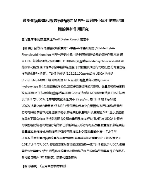 通络化痰胶囊和熊去氧胆酸对MPP+诱导的小鼠中脑神经细胞的保护作用研究