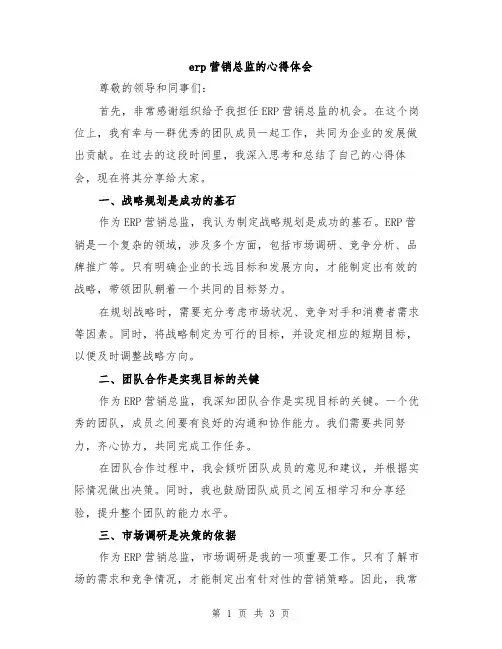 erp营销总监的心得体会