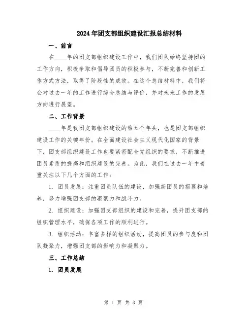 2024年团支部组织建设汇报总结材料