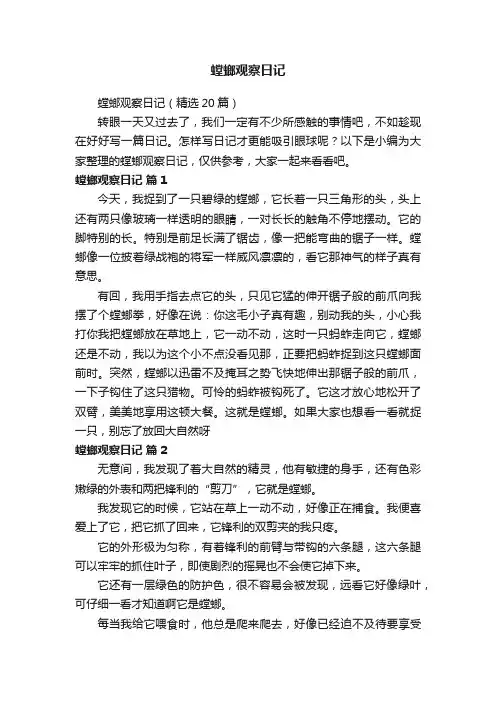 螳螂观察日记（精选20篇）