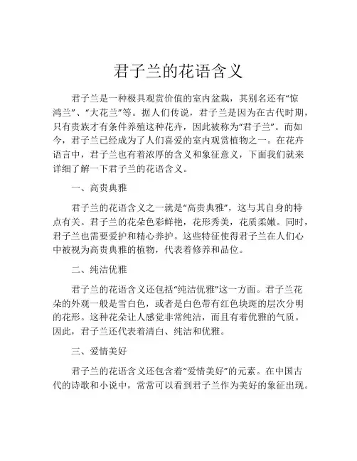 君子兰的花语含义