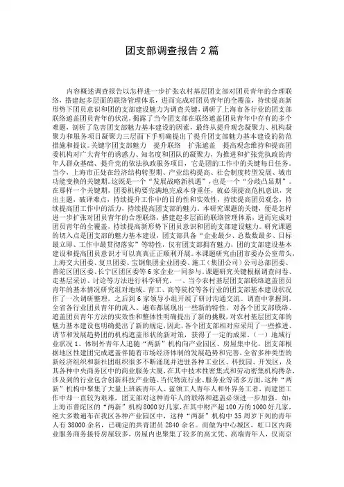 团支部调查报告2篇