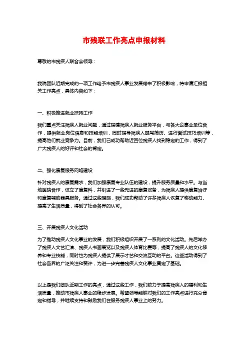 市残联工作亮点申报材料