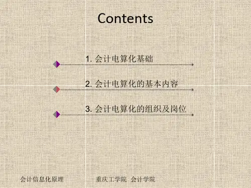 会计信息化概论