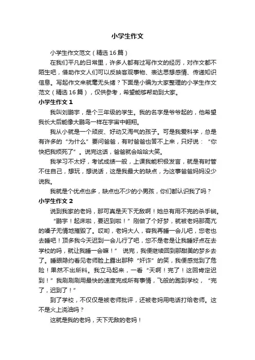小学生作文范文（精选16篇）