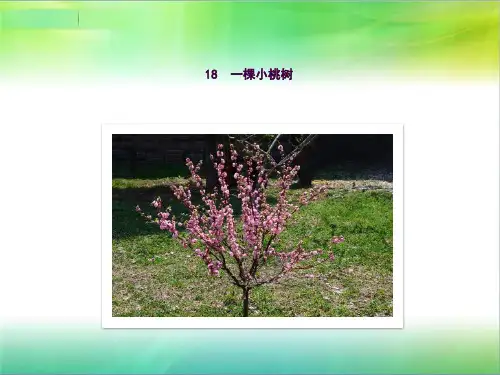 18一棵小桃树(优秀)ppt课件