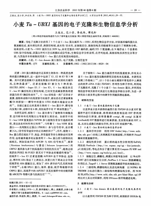 小麦Ta—UBX1基因的电子克隆和生物信息学分析