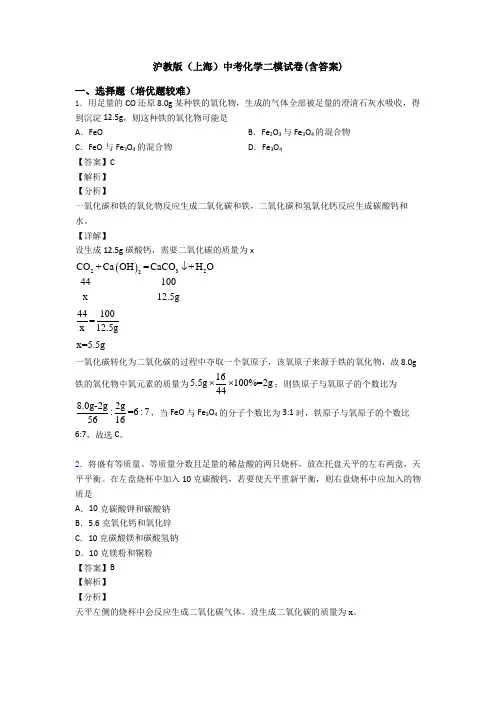 沪教版(上海)中考化学二模试卷(含答案)