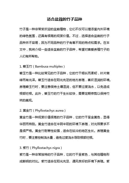 适合盆栽的竹子品种