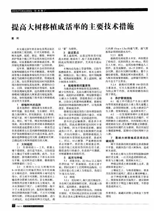 提高大树移植成活率的主要技术措施